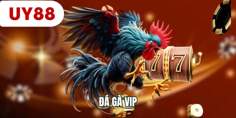 Đá gà VIP