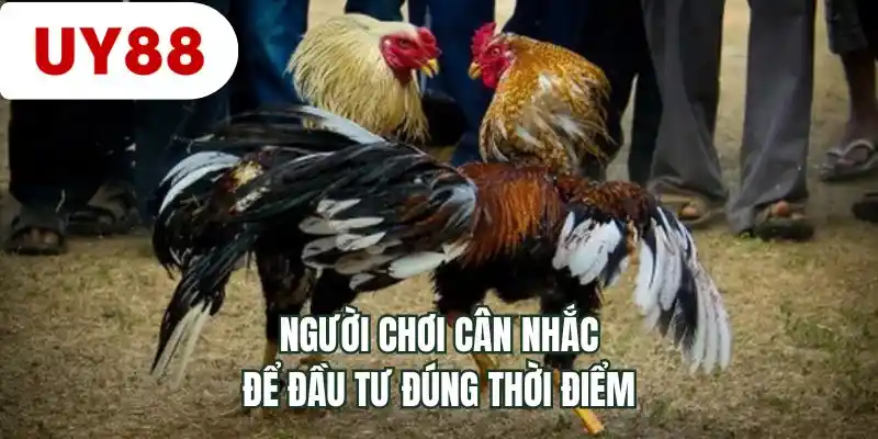 Người chơi cân nhắc để đầu tư đúng thời điểm