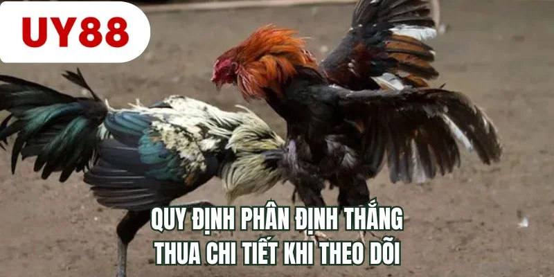 Quy định phân định thắng thua chi tiết khi theo dõi
