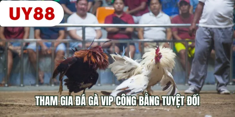 Tham gia đá gà VIP công bằng tuyệt đối